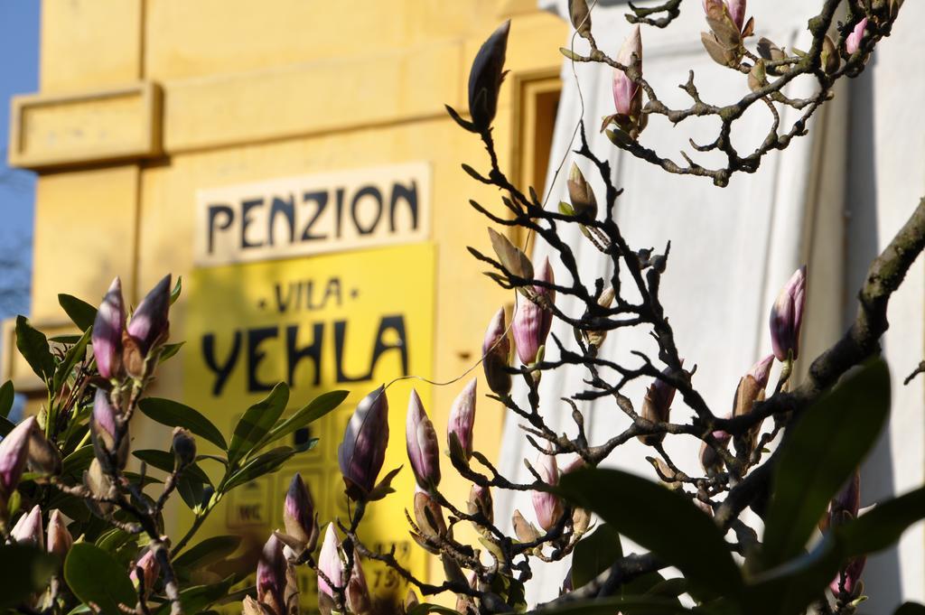 Vila Jehla Ceska Kamenice Exterior foto